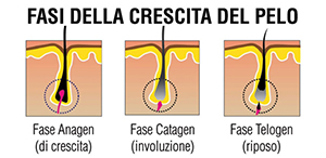 medea medicina estetica trapianto fasi crescita capello